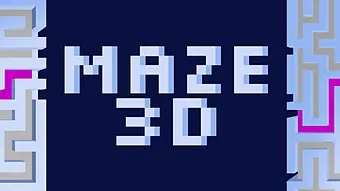 Maze 3D: Which way to the exit?